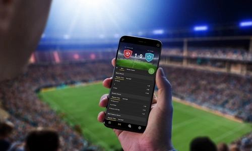 B2B Sportsbook Solutions