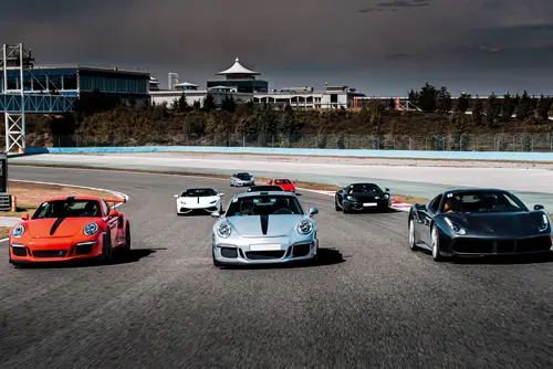 Auto Racing Betting Software